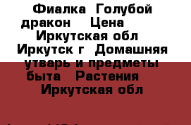 Фиалка “Голубой дракон“ › Цена ­ 160 - Иркутская обл., Иркутск г. Домашняя утварь и предметы быта » Растения   . Иркутская обл.